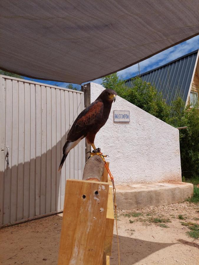 Falcoaria Сетубал Екстер'єр фото